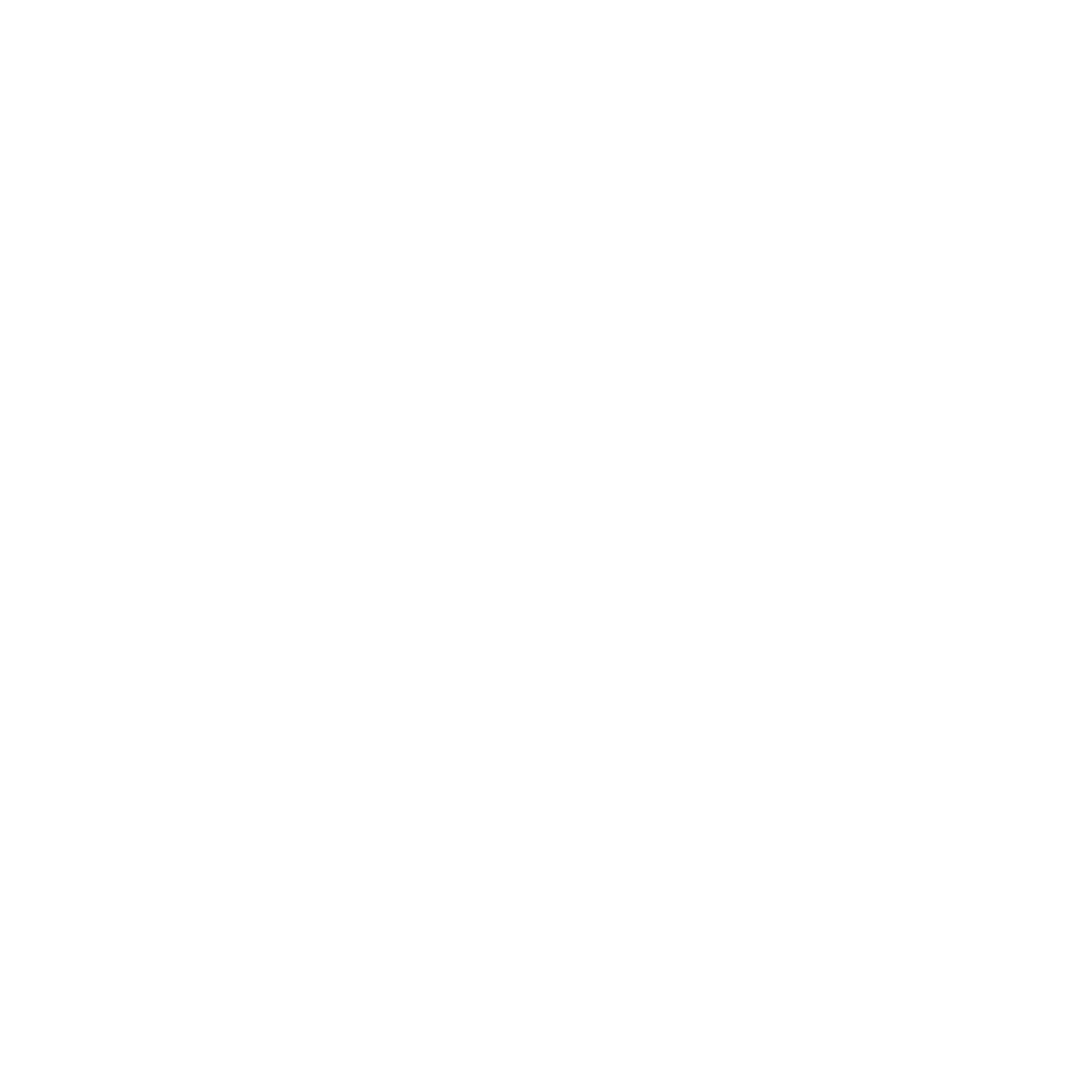 location icon white